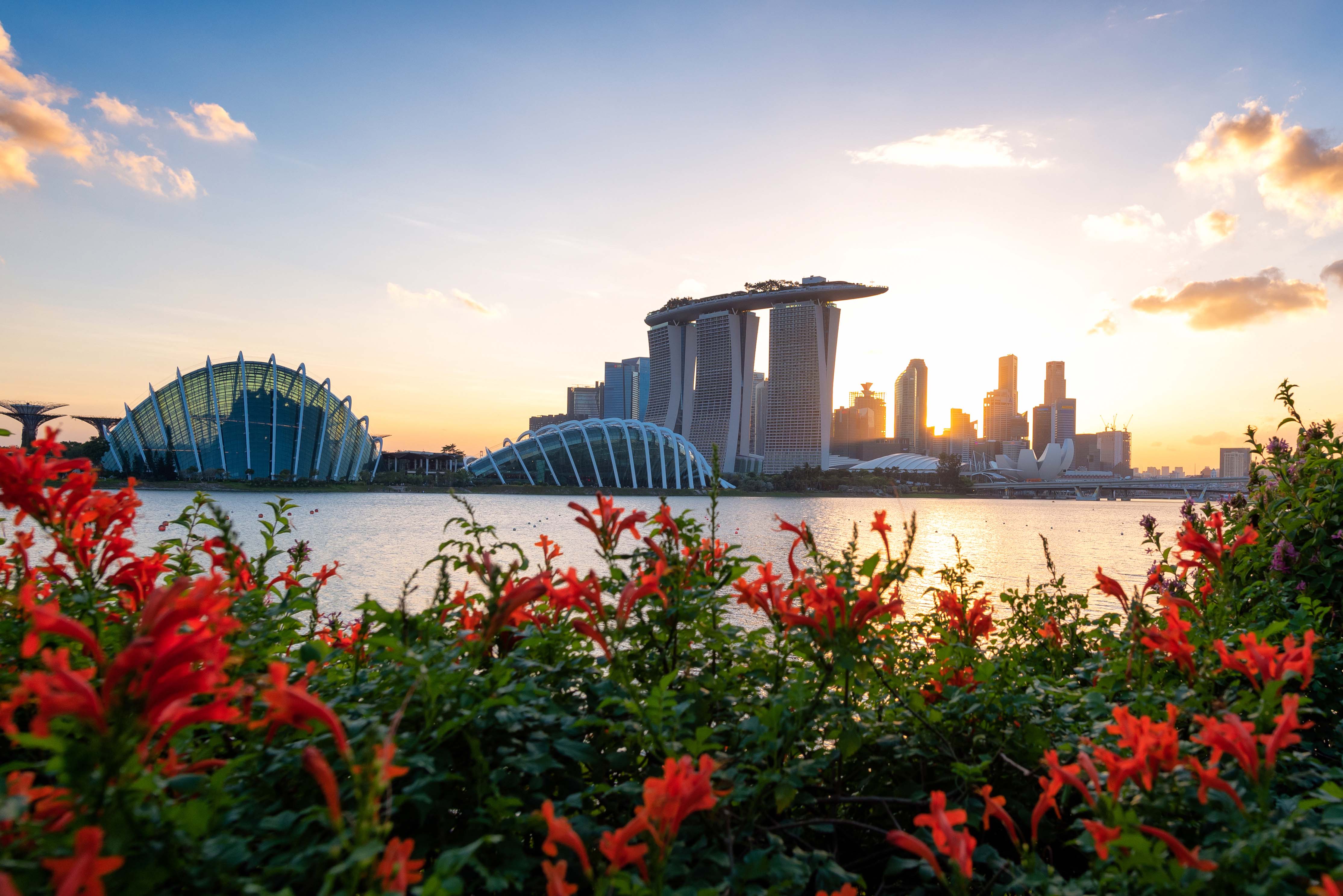 摄图网_329712929_新加坡日落时区市区建筑区的商业景象全天候 (Singapore)(非企业商用).jpg