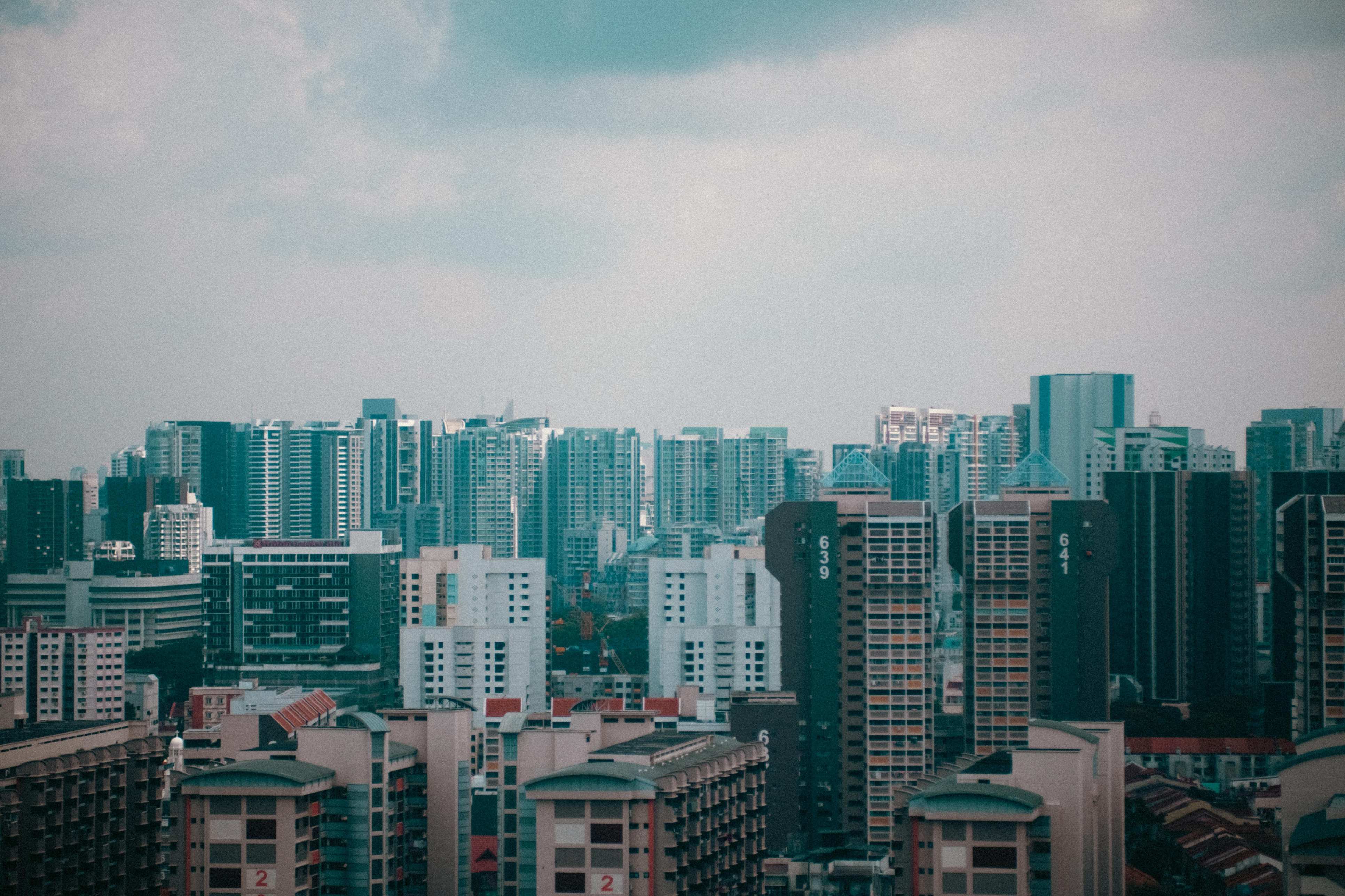 pexels-daveg-32662565.jpg