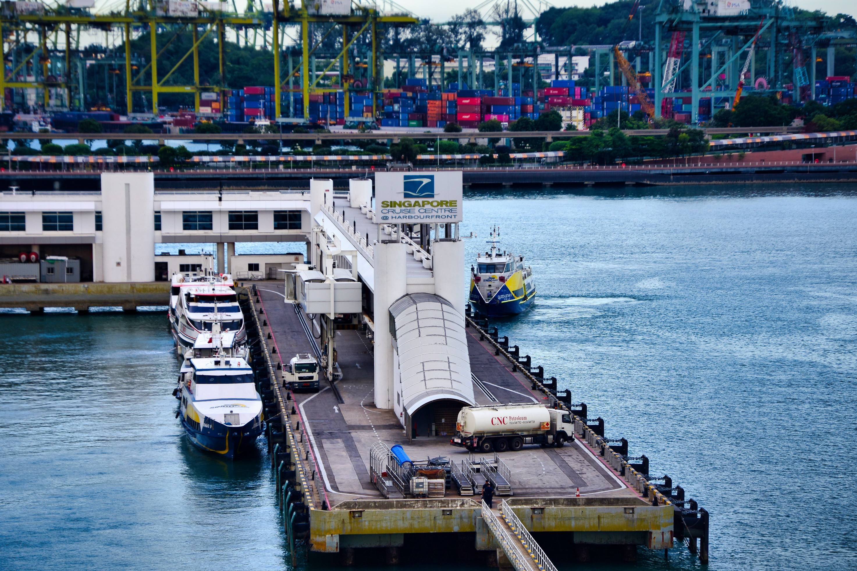 pexels-joerg-hartmann-626385254-37303705.jpg