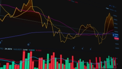 【CRS 2.0穿透·信托之外】（一）现金价值保险、投连险与PPLI在CRS 2.0下的穿透